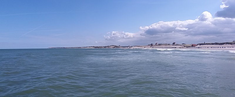 2016-05-18 11.21.33.jpg